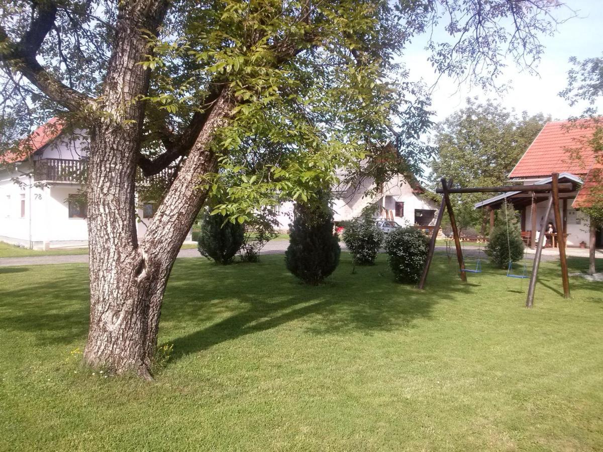 Apartments With A Parking Space Smoljanac, Plitvice - 12345 Exterior photo